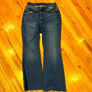 Judy Blue jeans bootcut 14W